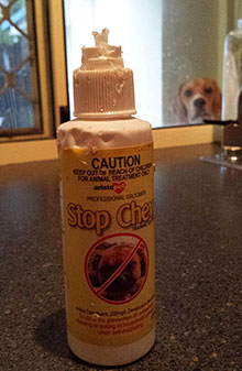 A bottle of Stop Chew pet deterrent spray that has itself been chewed by a dog visible in the background